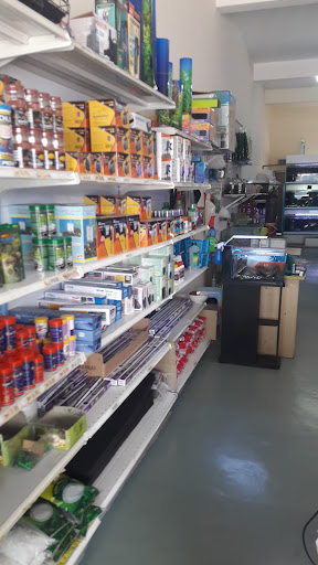 Aquarium Shop