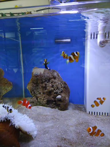 JD AQUARIUM水族馆