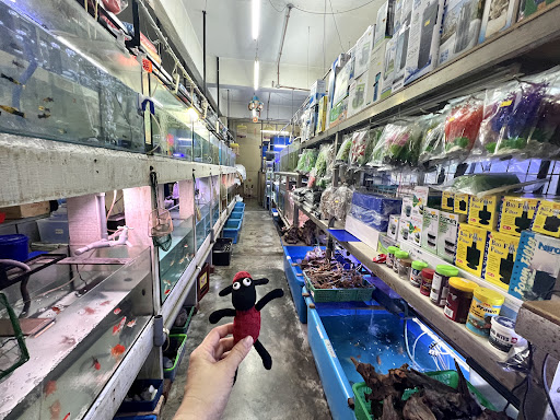 Chop Chiong Kee祥记鱼鸟店