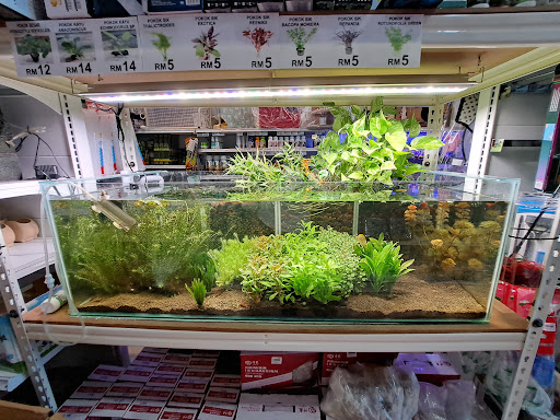 Formula Aquatic Pet Shop