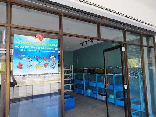 Cahaya Guppy Farm