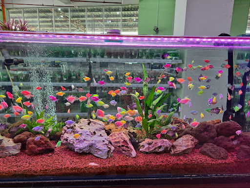 Harvest Fish & Pet SDN BHD Harvest Fish & Pet SDN BHD