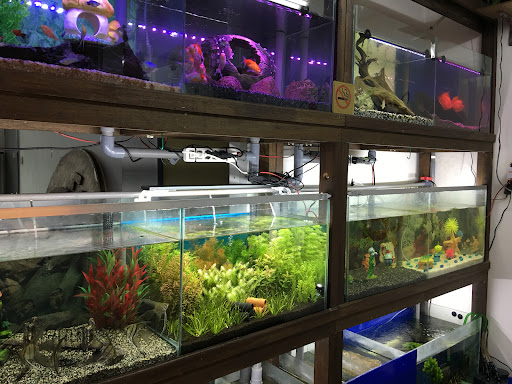 KK Aquatic & Pet Sdn Bhd KK Aquatic & Pet Sdn Bhd