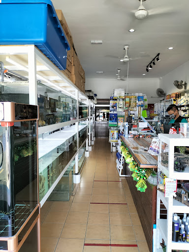 K-Mart Aquarium Supplies K-Mart Aquarium Supplies