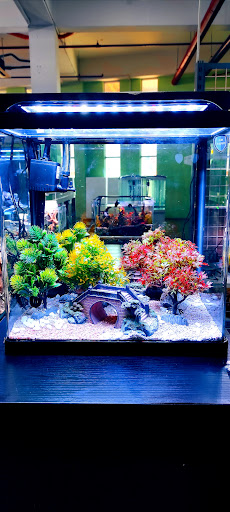 AEL AQUATICS NATURE HOUSE AEL AQUATICS NATURE HOUSE