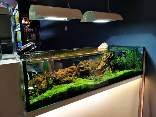 Aqua Legend Concept Shop