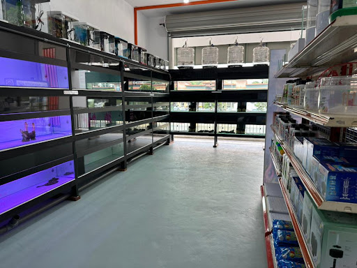 KK Aquatic Papar Branch