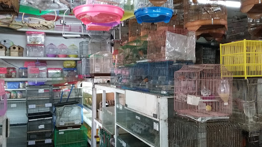 Kedai Burung Dan Ikan Lim