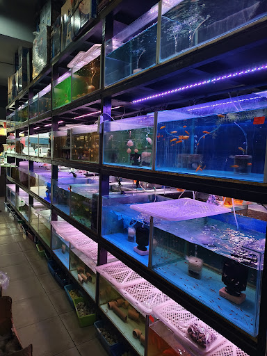 Fong Aquarium
