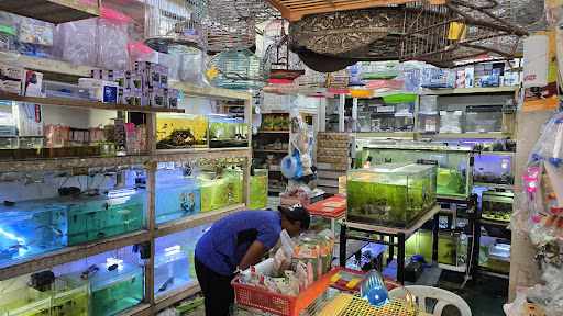 Wing Lee Birds and Aquarium