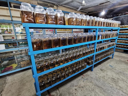 Betta Fish Crocodile Farm