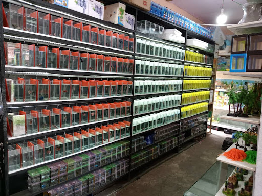 H&H Aquarium Fish Semporna