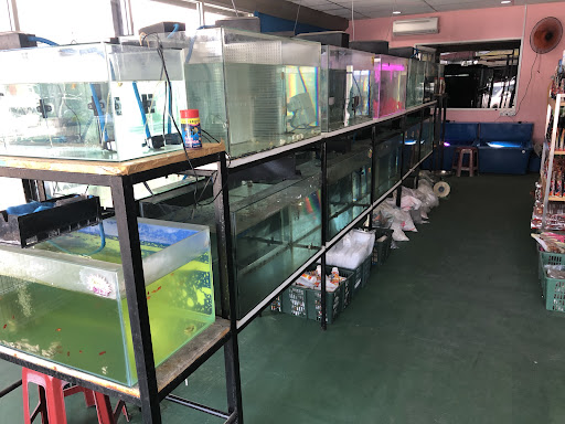 Mei Seng Aquarium & Pet SDN.BHD.