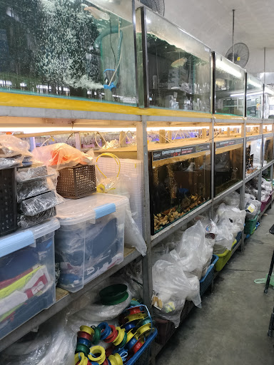 BINTANG GARDEN TACKLE AQUARIUM AND PET SHOP