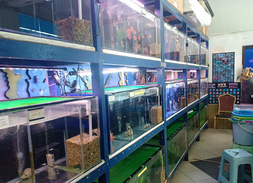 Perusahaan Kecubung Sdn. Bhd.(Gadong)