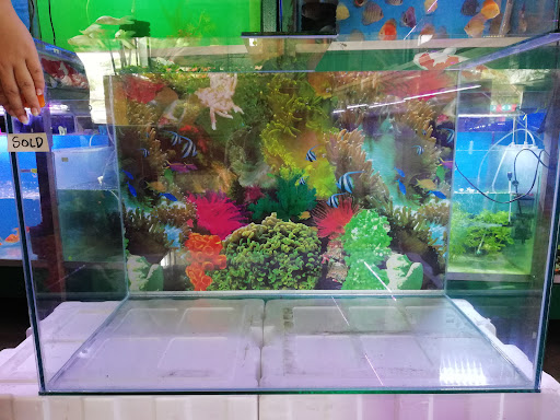 Happy Pets - VKM Miri Aquarium Pet Shop