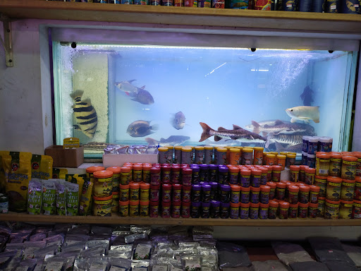 Mc Aquatic Fish Shop