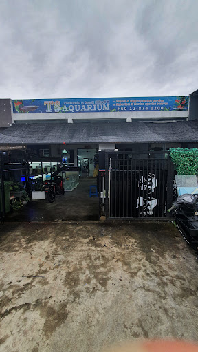 TS aquarium