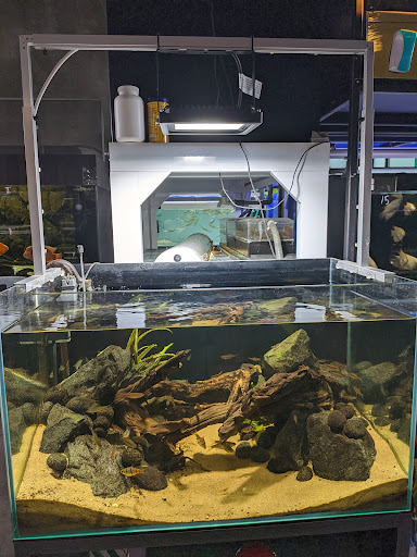 G55 pet & aquatic