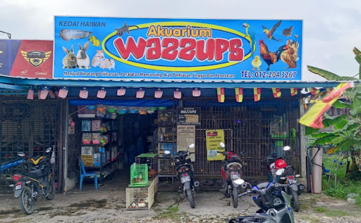 Akuarium Wazzups Akuarium Wazzups