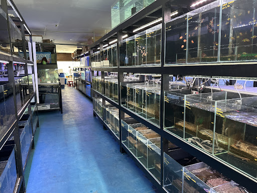CKH Aquatic and Pet CKH Aquatic and Pet