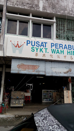 Kedai Akuarium Dan Ikan Wah Hin Kedai Akuarium Dan Ikan Wah Hin