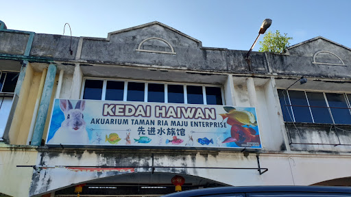 Akuarium Taman Ria Maju Enterprise Akuarium Taman Ria Maju Enterprise