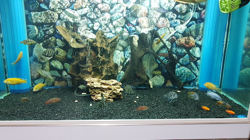 Kedai Aquarium