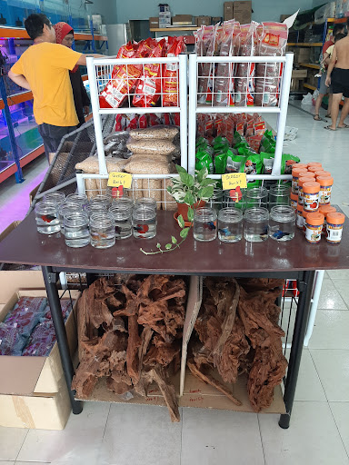 Ding Ding Aquarium & Pet Shop Ding Ding Aquarium & Pet Shop