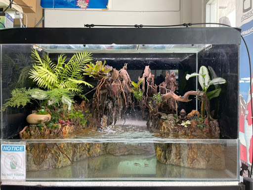 Fish World Fish World
