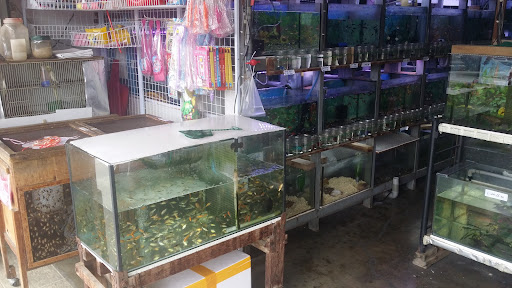 Greenwood Aquarium & Petshop