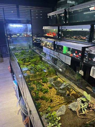 BOS Aquarium Eco Ardence (Shah Alam)