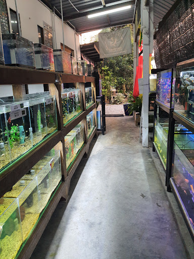 Gardenroad Aquatics