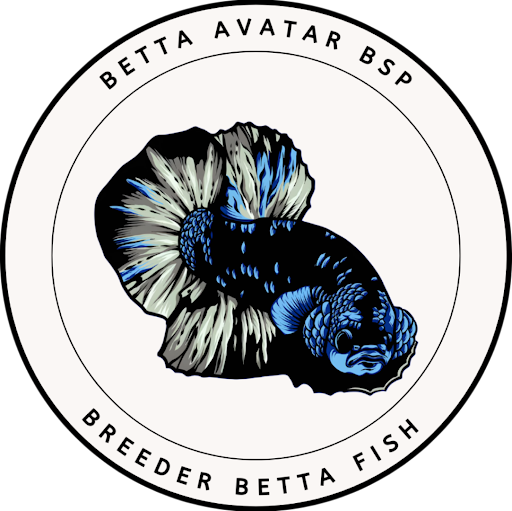 BMG Supply ( Kedai Akuarium Betta Molly Guppy BSP )