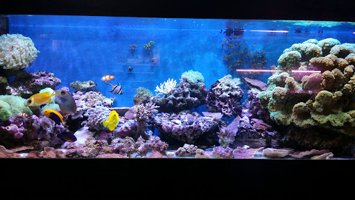 Oceanic Aquatic Sdn. Bhd.