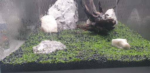 Xin Yang Aquarium and Pets Sdn Bhd