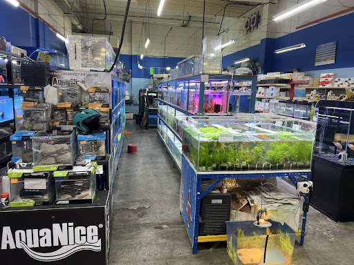 Perfect Paradise Aquatic & Pets
