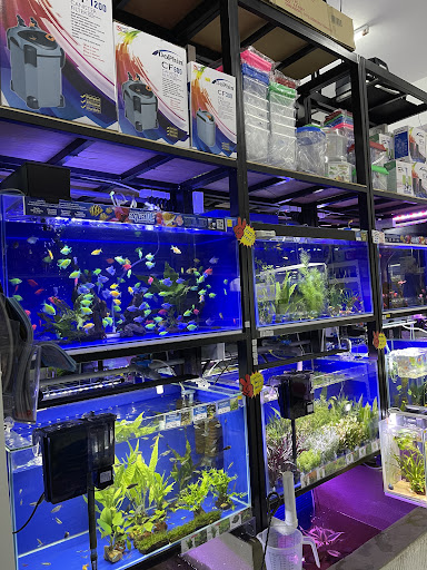 About Pets Aquarium