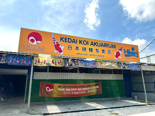 Megumi Koi (Kedai Koi Aquarium) @ Subang