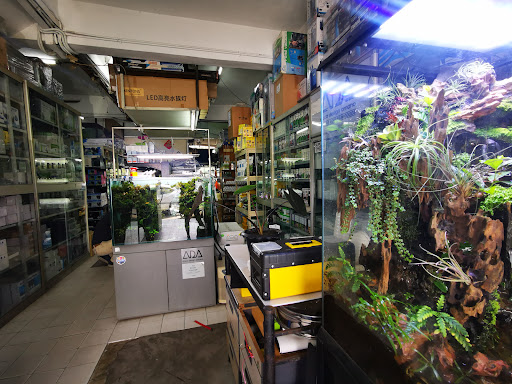 Natural Aquatic World | Aquascape & Maintenance