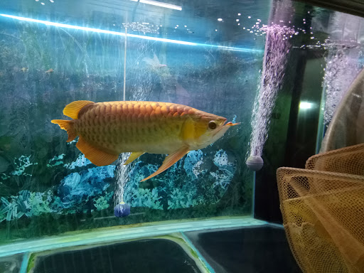 Kh Aquatech Resources