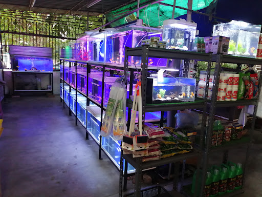 LYS Aquarium and Pets Supplies (南美园水族)