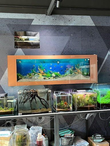 Aquatic Hub Penang