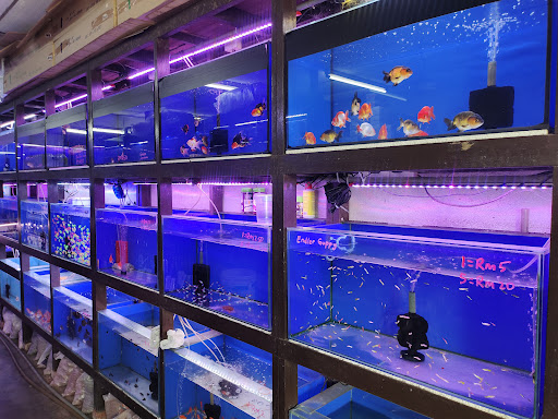 Shiang Aquarium Centre