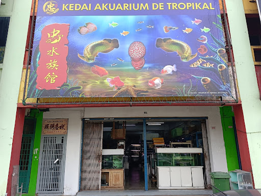 Akuarium De Tropikal