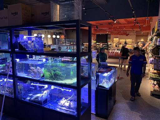 NMS Aquatics @ Just Pets Megastore (Kota Damansara)
