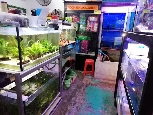 Pusat Akuarium Soon Hin
