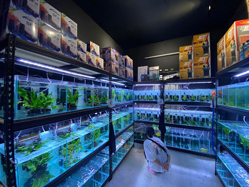 SILV Aquarium Design