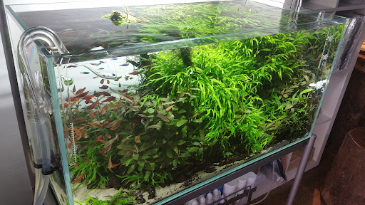 Aqua Design Amano Malaysia Showroom