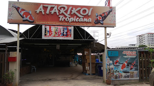 Atarikoi Tropicana Sdn Bhd